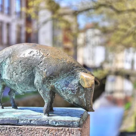 Ohlerich Speicher App_ 21 *